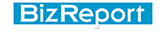 biz-report